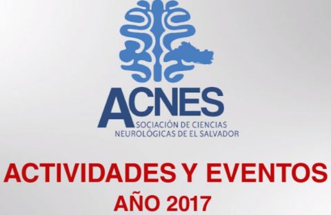 Actividades ACNES 2017