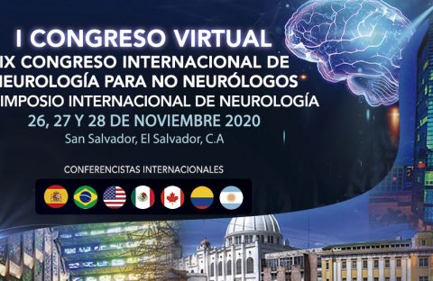 Primer Congreso Virtual ACNES 2020